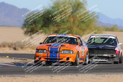 media/Oct-15-2023-Lucky Dog Racing Chuckwalla (Sun) [[f659570f60]]/4th Stint Turn 4 Tree of Life/